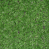 Super Budget 6mm Artificial Grass