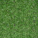 Super Budget 6mm Artificial Grass