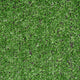 Super Budget 6mm Artificial Grass