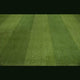 Wembley Striped 30mm Artificial Grass