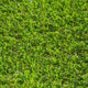 Oscroft 37mm Artificial Grass