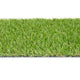 Severn 20mm Artificial Grass