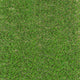 Witham 42mm Artificial Grass 5m