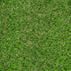 Witham 42mm Artificial Grass