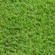 Witham 42mm Artificial Grass 5m