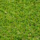 Ellingdale 35mm Artificial Grass