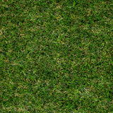 Palm Spring 47mm Artificial Grass