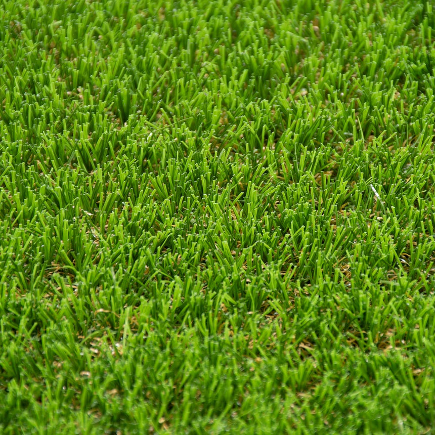 Palm Spring 47mm Artificial Grass