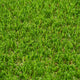 Palm Spring 47mm Artificial Grass