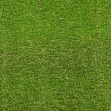 Palm Spring 47mm Artificial Grass