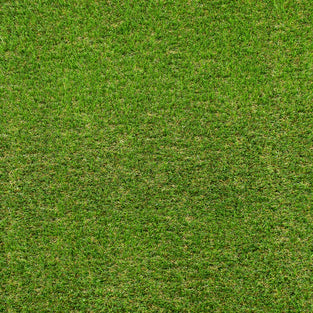 Palm Spring 47mm Artificial Grass