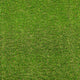 Palm Spring 47mm Artificial Grass