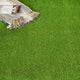 Palm Spring 47mm Artificial Grass