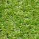 Trent 17mm Artificial Grass