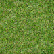 Trent 17mm Artificial Grass