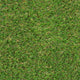 Tyne 30mm Artificial Grass
