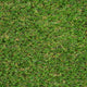 Tyne 30mm Artificial Grass