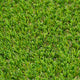 Yellowstone 38mm PU Backed Artificial Grass