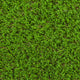 Orchid 37mm Artificial Grass