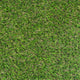 Sprucepark 25mm Artificial Grass