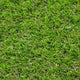 Campion 30mm Artificial Grass