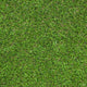 Campion 30mm Artificial Grass