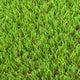 Chestermere 25mm Artificial Grass