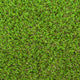 Chestermere 25mm Artificial Grass