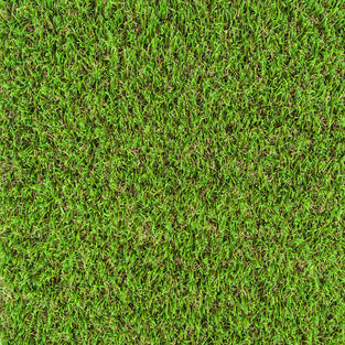 Chestermere 25mm Artificial Grass