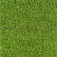 Chestermere 25mm Artificial Grass