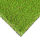 Chestermere 25mm Artificial Grass