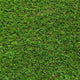 Daisy 40mm Artificial Grass