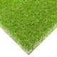 Damson 37mm Artificial Grass