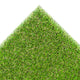 Damson 37mm Artificial Grass