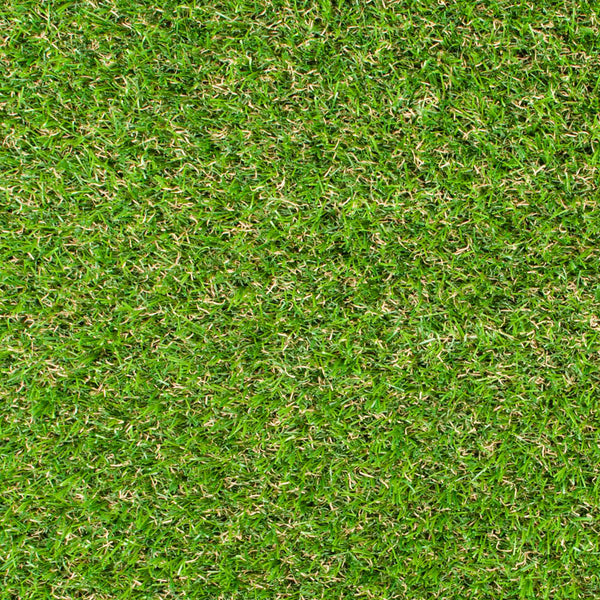 Damson 37mm Artificial Grass