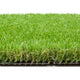 Damson 37mm Artificial Grass