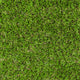 Derwent 30mm Artificial Grass