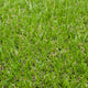 Ravendale 19mm Artificial Grass