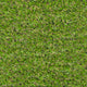 Ravendale 19mm Artificial Grass