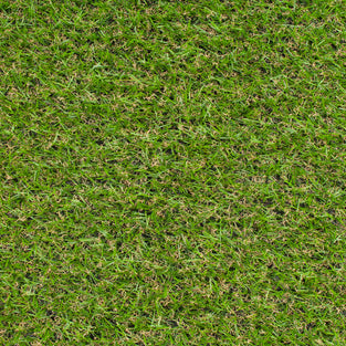 Ravendale 19mm Artificial Grass
