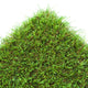 Vetiver Dale 40mm Artificial Grass