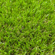 Limetree 32mm Artificial Grass