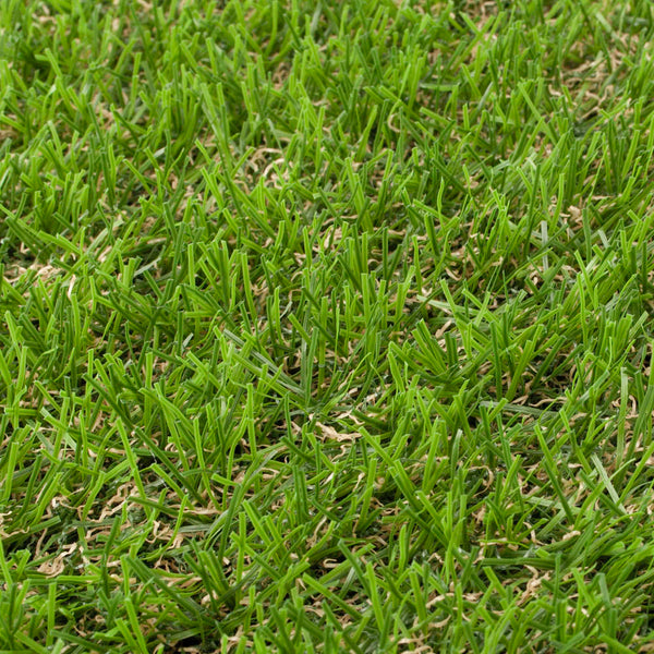 Macadamia 27mm Artificial Grass