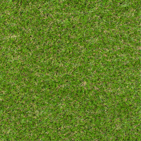 Macadamia 27mm Artificial Grass - Sample