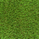 Willowdale 37mm Artificial Grass