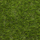 Ashridge 32 Artificial Grass
