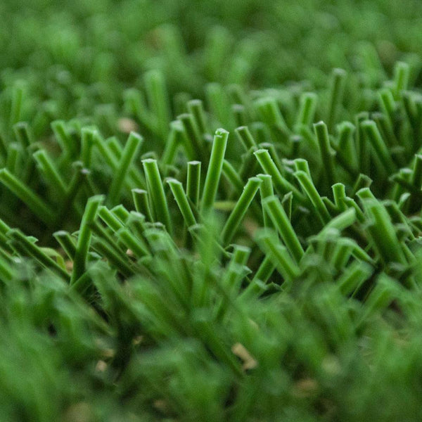 Bramble 32 Artificial Grass