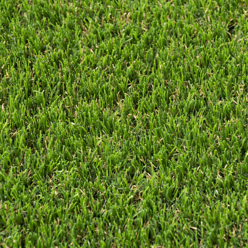 Askham 37mm Artificial Grass Buy Fake Grass Online Grass247.co.uk