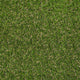 Askham 37mm Artificial Grass