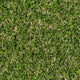 Askham 37mm Artificial Grass 5m